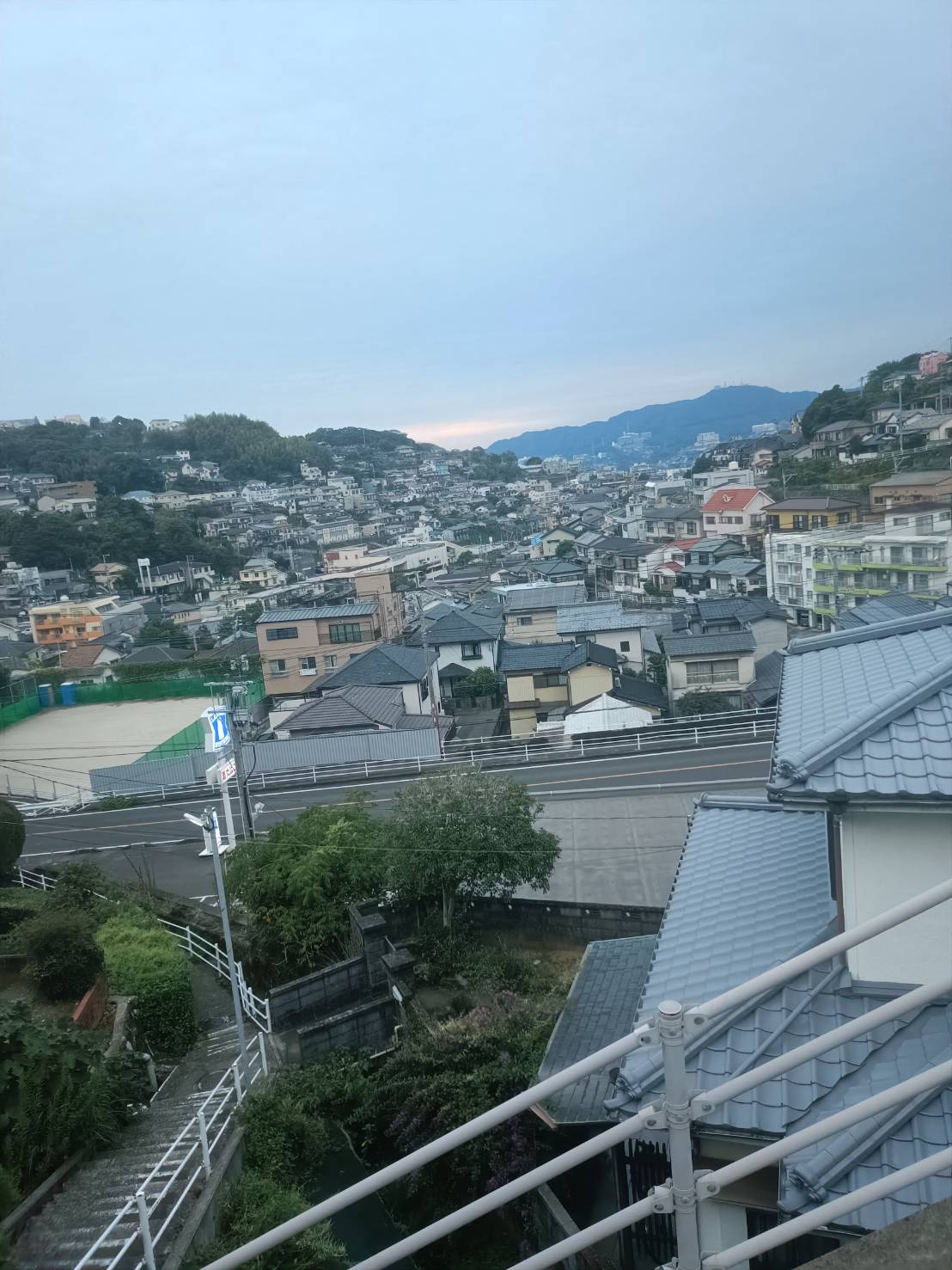新しい仲間が入りました！